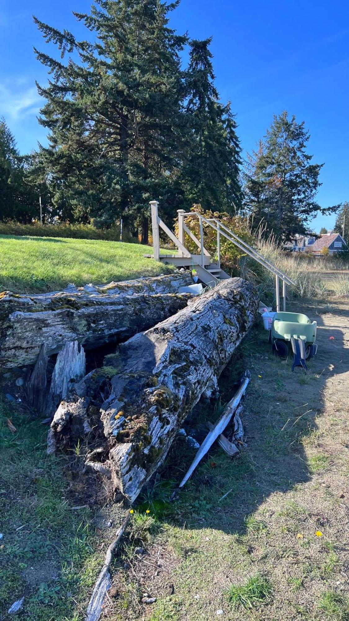 Shorewater Resort Qualicum Beach Εξωτερικό φωτογραφία