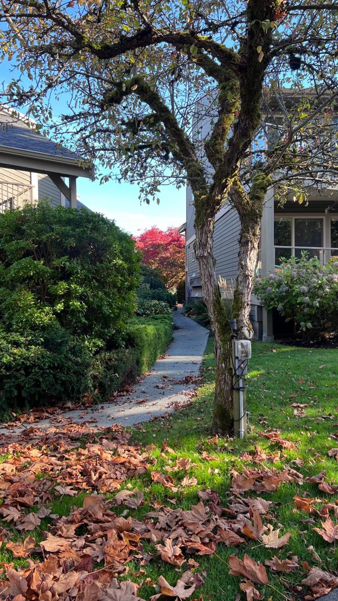 Shorewater Resort Qualicum Beach Εξωτερικό φωτογραφία